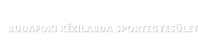 Budafoki Kézilabda Sportegyesület
